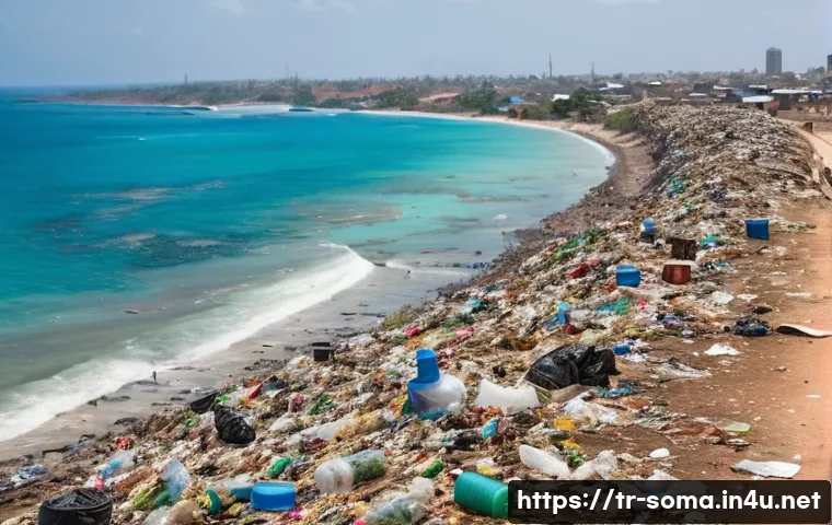 Somali'nin Çevre Krizini Bilmiyorsanız Çok Şey Kaçırıyorsunuz 3 소말리아 환경 문제 관련 이미지 1
